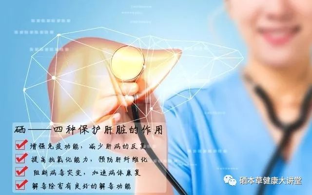 硒元素可以补肝吗(补硒肝脏)-硒宝网