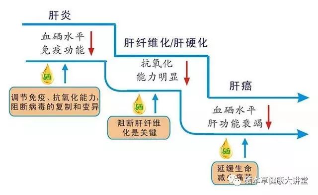 硒元素可以补肝吗(补硒肝脏)-硒宝网