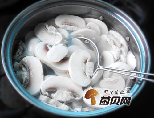 癌症病人每日补硒(癌症病人每日补硒多少克)-硒宝网