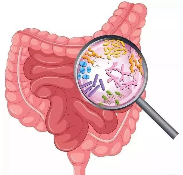 大量补硒会拉肚子(吃硒片拉肚子)-硒宝网