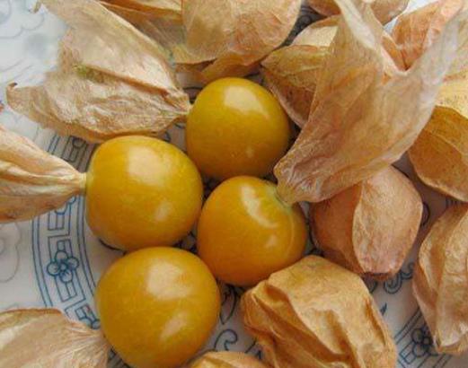 大量补硒会拉肚子（补硒拉肚子）-硒宝网