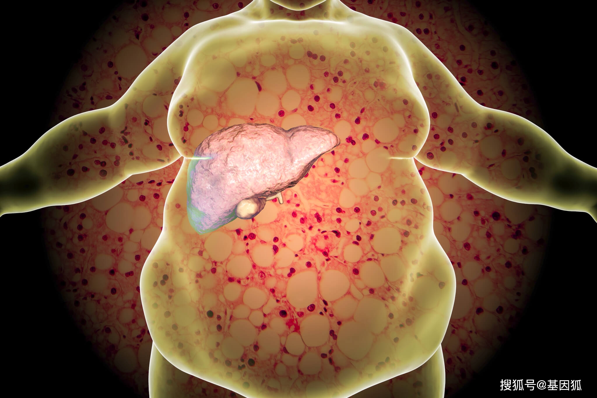 肝损伤可以补硒吗(补硒对肝病患者有好处吗)-硒宝网
