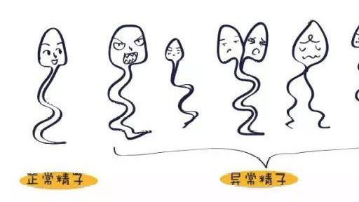 精子畸形率高补硒（精子畸形率高补硒）-硒宝网