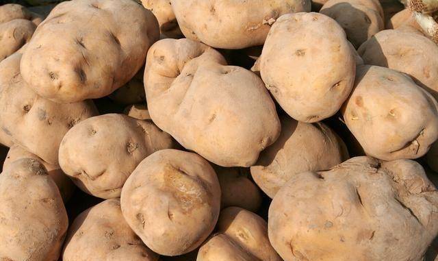 发芽的大蒜补硒么(大蒜发芽补硒效果好吗)-硒宝网