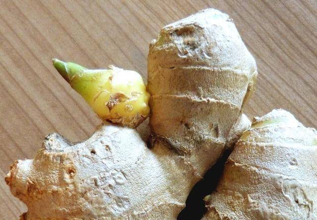 发芽的大蒜补硒么(大蒜发芽补硒效果好吗)-硒宝网