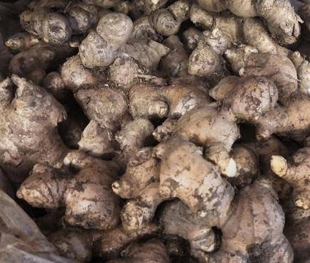 发芽的大蒜补硒么(大蒜发芽补硒效果好吗)-硒宝网