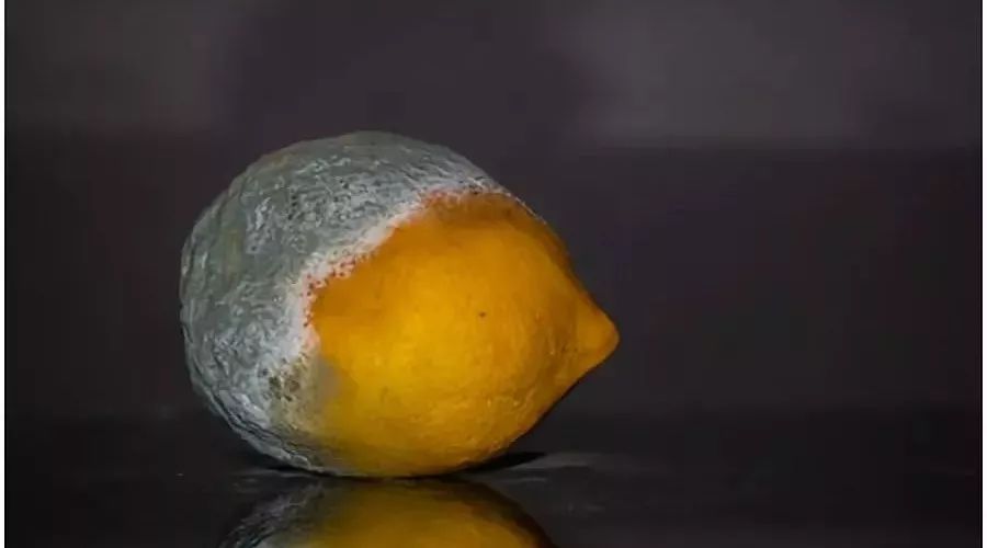 补硒元素需要维e（维生素e补硒吗）-硒宝网