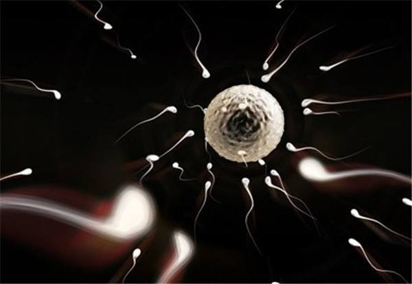 成人补硒量是多少(成人补硒有什么好处)-硒宝网