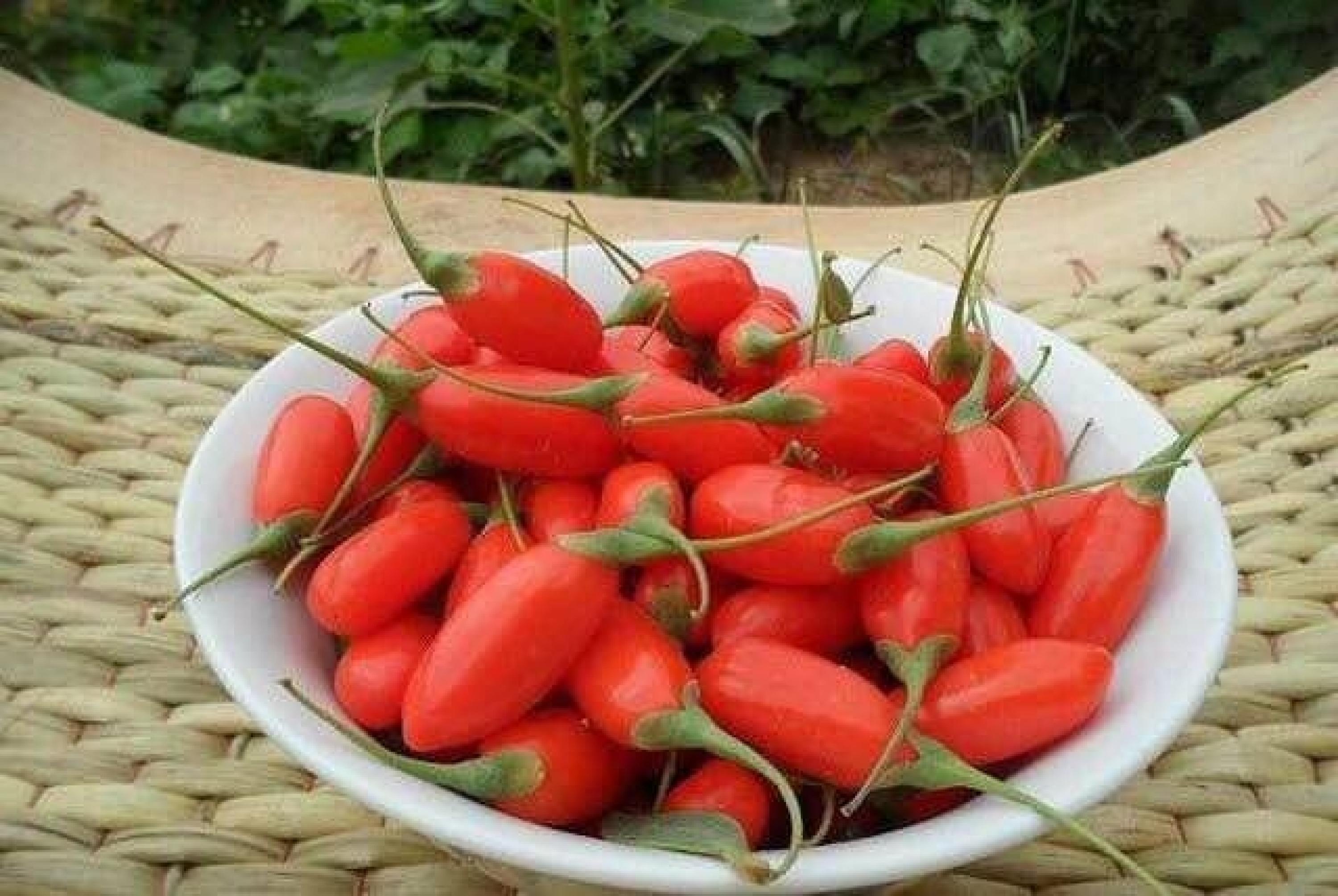 硒和肽能否同时补(吃硒肽好吗)-硒宝网