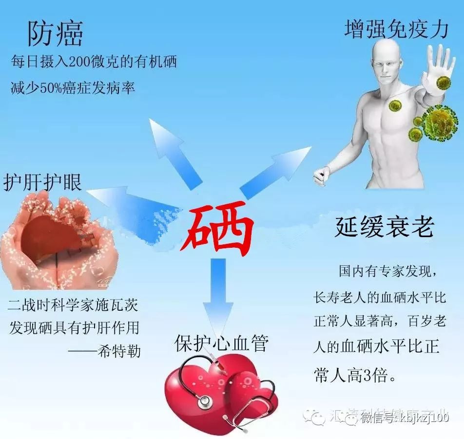 补硒能调节肝病吗（补硒肝脏）-硒宝网