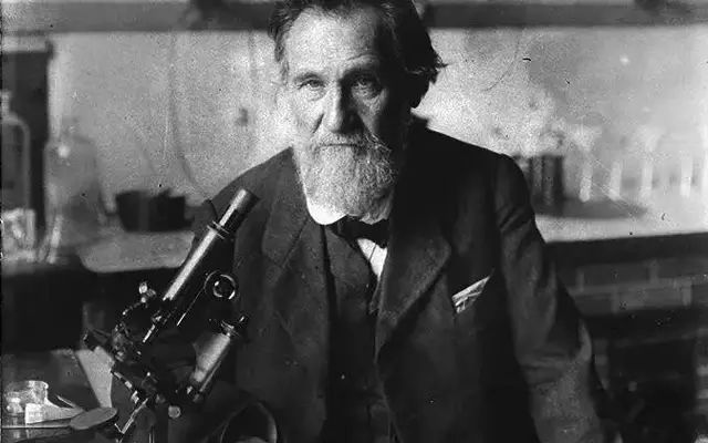 指甲软可以补硒吗（硒过量指甲）-硒宝网