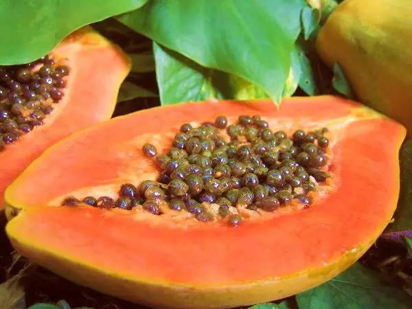 指甲软可以补硒吗（缺硒指甲变化）-硒宝网