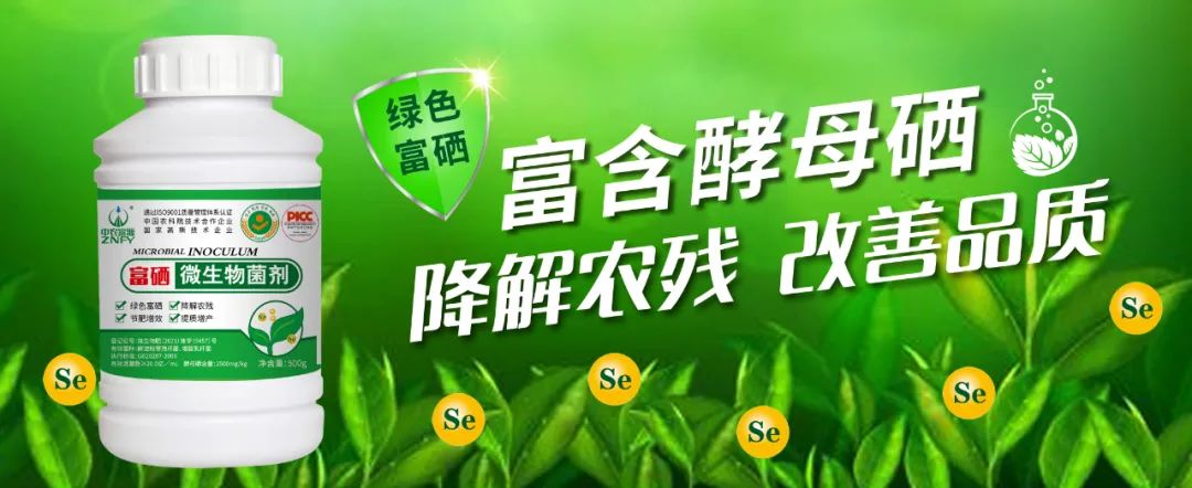 酵母硒谁都能补吗(酵母硒能提高免疫力吗)-硒宝网