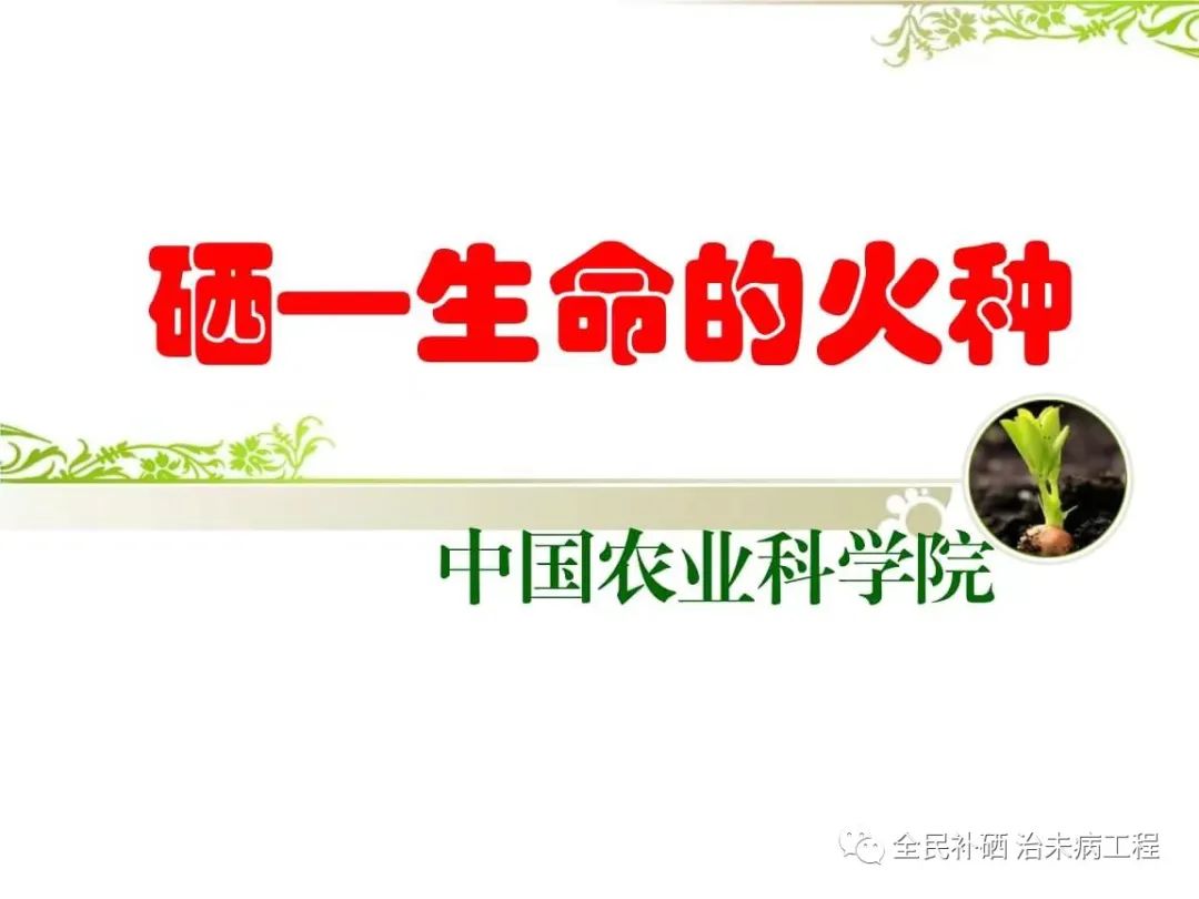 补硒多久能有效果(补硒能干嘛)-硒宝网