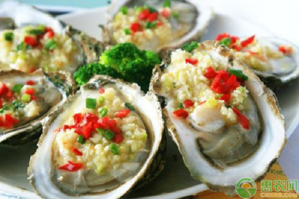 生蚝补什么硒元素(生蚝补什么微量元素)-硒宝网