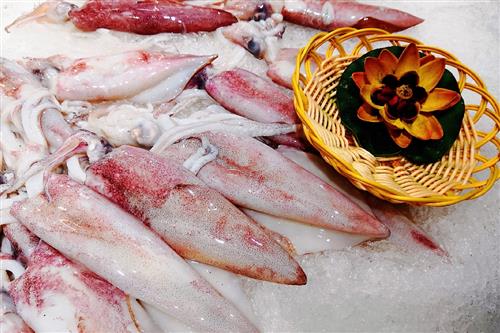 兽药特效钙硒双补（补硒的兽药）-硒宝网