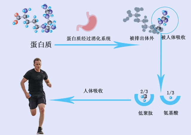 补硒可以更精神吗（补精神硒可以喝酒吗）-硒宝网
