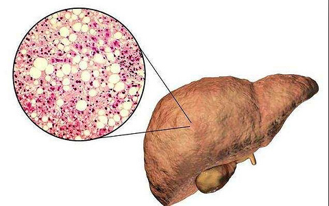 乙型肝炎补硒行吗(乙肝补硒)-硒宝网