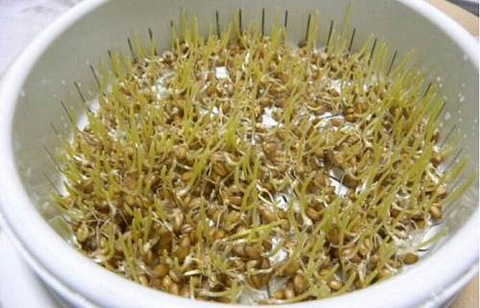 乙型肝炎补硒行吗(乙肝补硒)-硒宝网