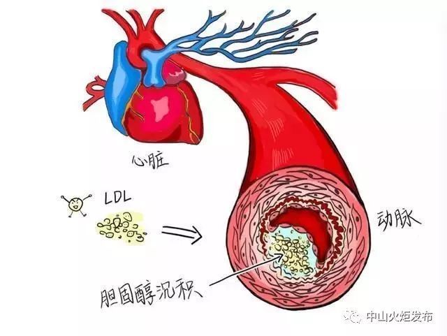 感冒了可以补硒吗(感冒补硒可以长期吃吗)-硒宝网