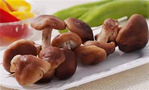 补硒能增强智力吗（硒能增强视力吗）-硒宝网