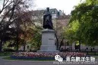 补硒与肺癌的增长（肺癌补增长硒片有用吗）-硒宝网