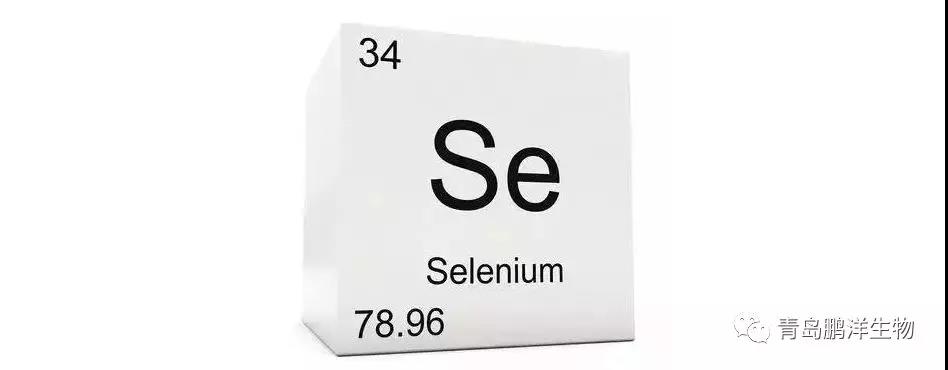补硒与肺癌的增长（肺癌补增长硒片有用吗）-硒宝网
