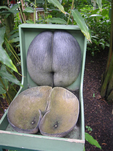 请问补硒会过敏吗（过敏请问补硒会过敏吗）-硒宝网