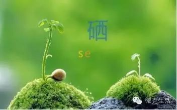 补硒可以治失眠吗(补硒能治失眠吗)-硒宝网