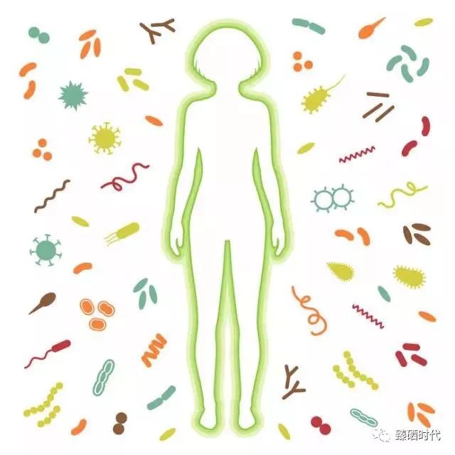 硒元素能天天补吗（补充硒元素）-硒宝网