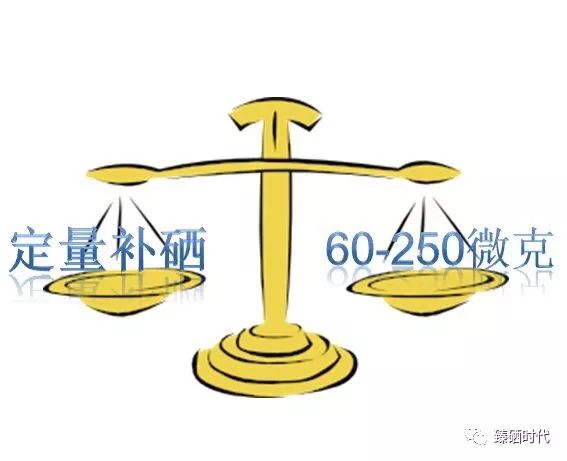 硒元素能天天补吗（补充硒元素）-硒宝网