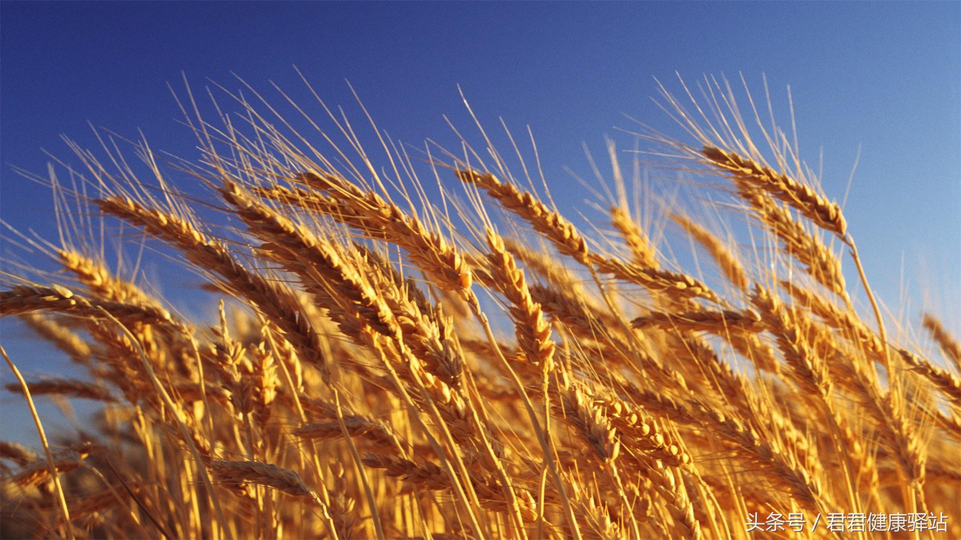 补硒能增加睡眠吗(睡眠能补增加硒元素吗)-硒宝网