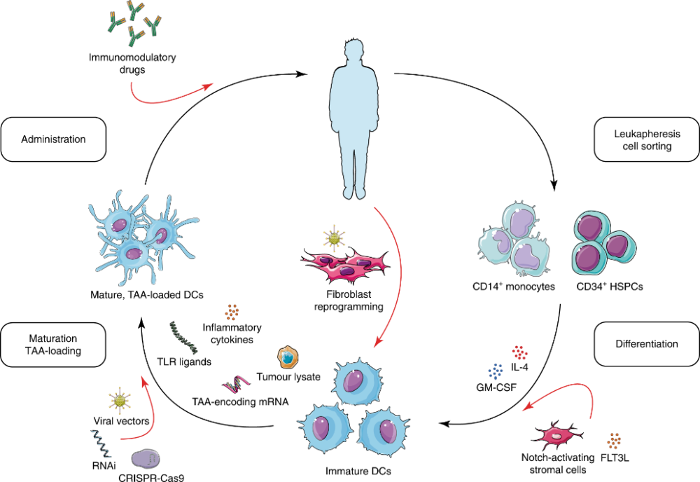 化疗期间能补硒么(化疗期间可以吃补硒的药品吗)-硒宝网
