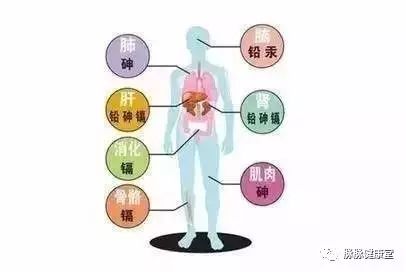 胆结石可以补硒吗(硒对胆结石有什么好处)-硒宝网