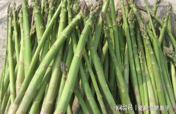 补硒可以可以吃吗(硒可以补吗)-硒宝网