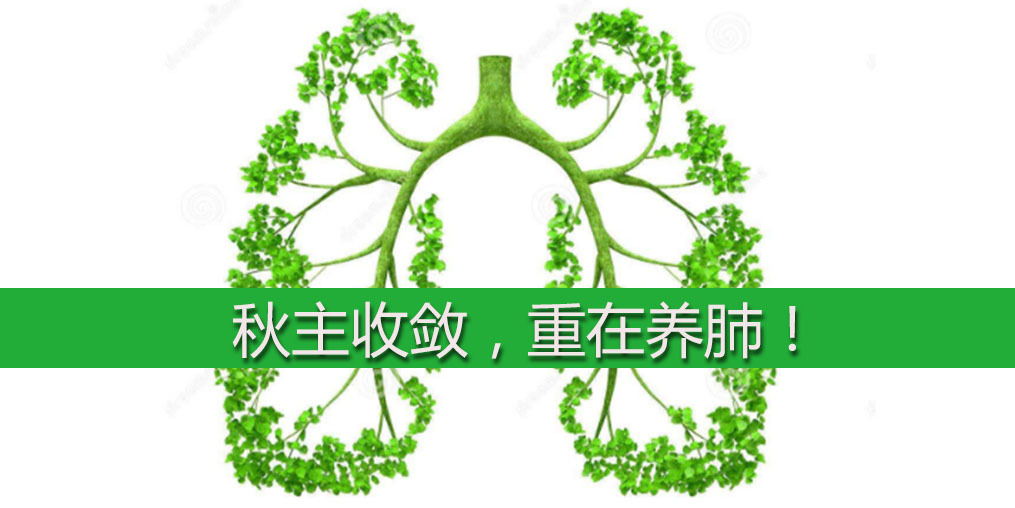 中医讲人体要补硒(补硒很重要吗)-硒宝网