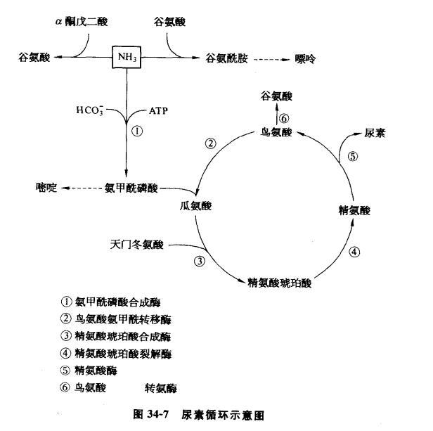帕金森补硒可以吗（帕金森可以补硒吗）-硒宝网