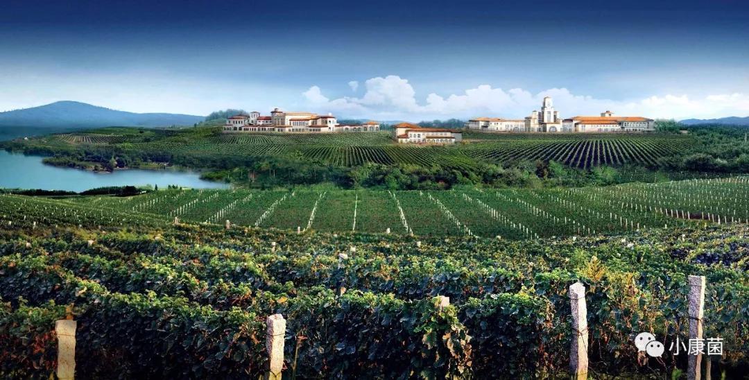 补硒后能吃西瓜吗(西瓜补硒吗)-硒宝网