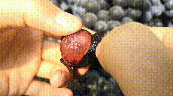 补硒后能吃西瓜吗(西瓜补硒吗)-硒宝网