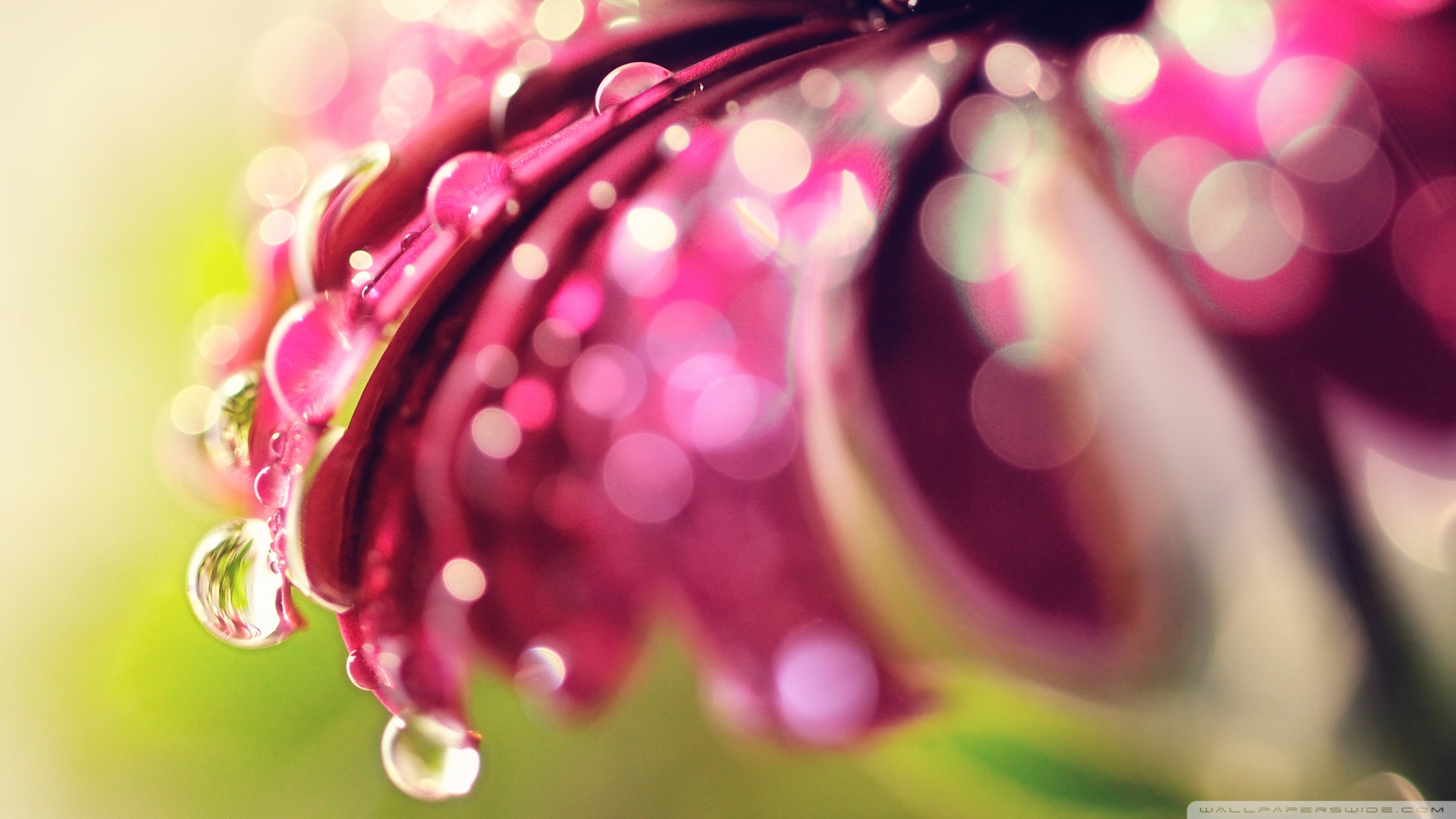 国家标准补硒用量（补硒的计量）-硒宝网