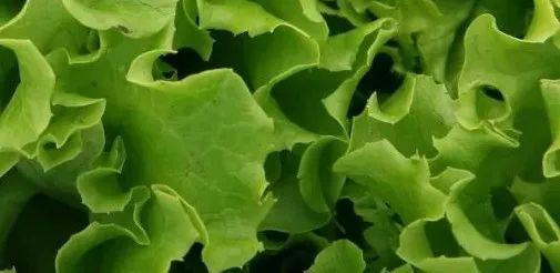 血小板低补什么硒（补血小板低硒的药）-硒宝网