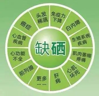 什么食物对补硒好(食补硒什么食物最佳)-硒宝网