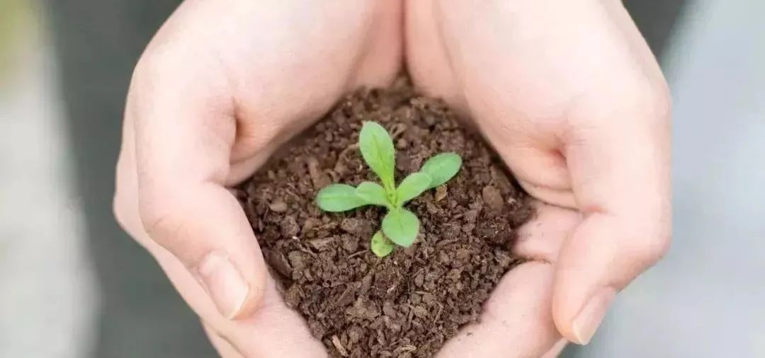 补硒剂的发展历史(最新的补硒制剂是)-硒宝网