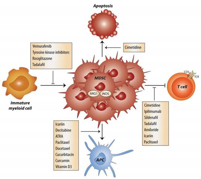 补硒药的作用机理（含有机硒的药品有哪些）-硒宝网