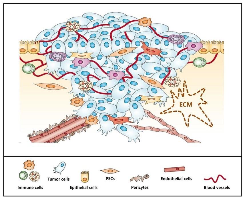 补硒药的作用机理（含有机硒的药品有哪些）-硒宝网