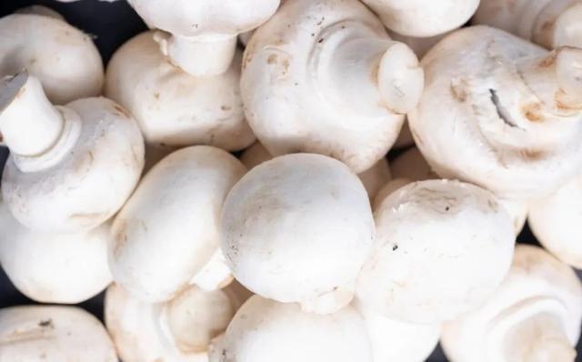 吃什么蔬菜能补硒（蔬菜能补吃硒元素吗）-硒宝网