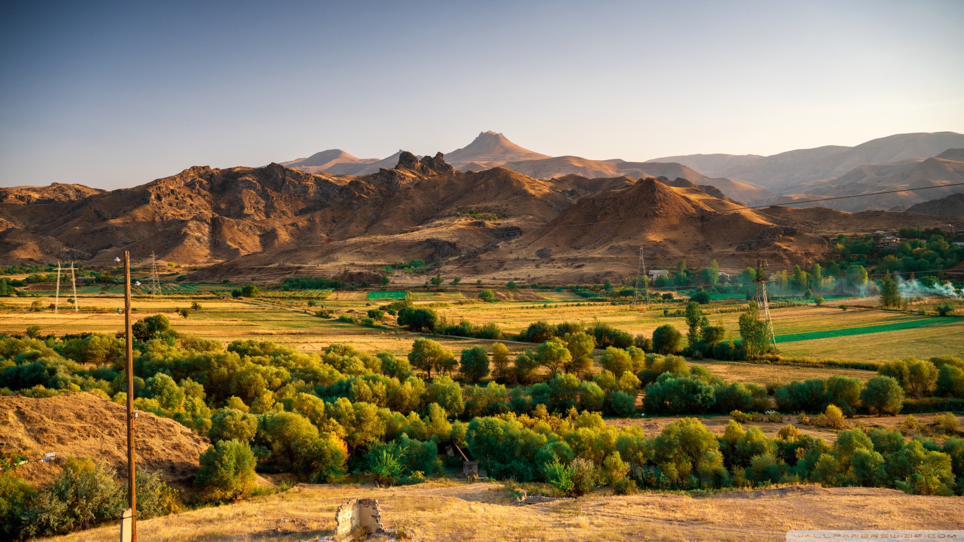 脱发吃补硒酵母片(酵母脱发补片吃硒片有用吗)-硒宝网