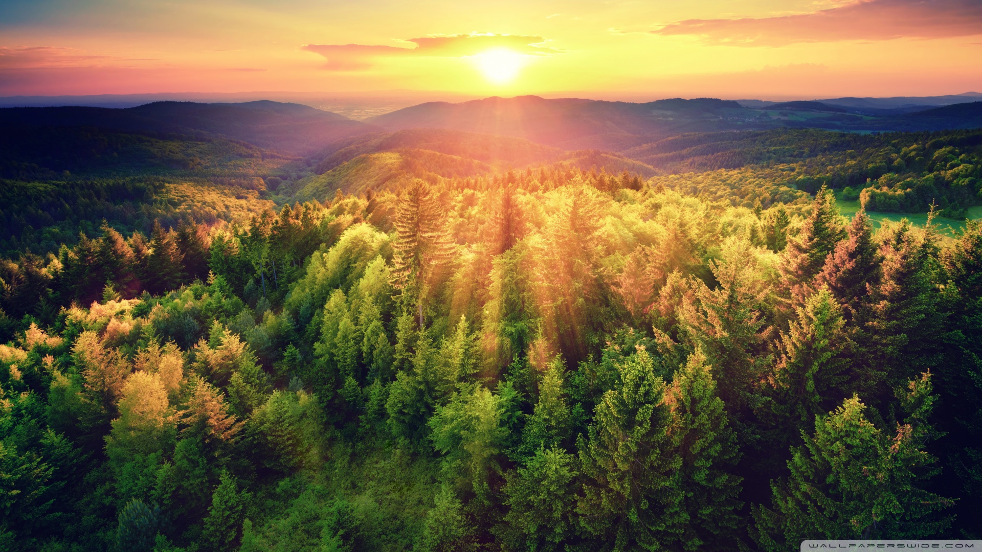 脱发吃补硒酵母片(酵母脱发补片吃硒片有用吗)-硒宝网