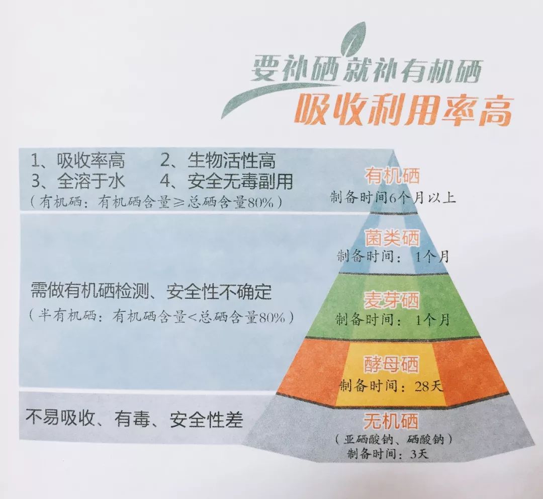 最新补硒的机制是(最新补硒制剂是有机硒)-硒宝网