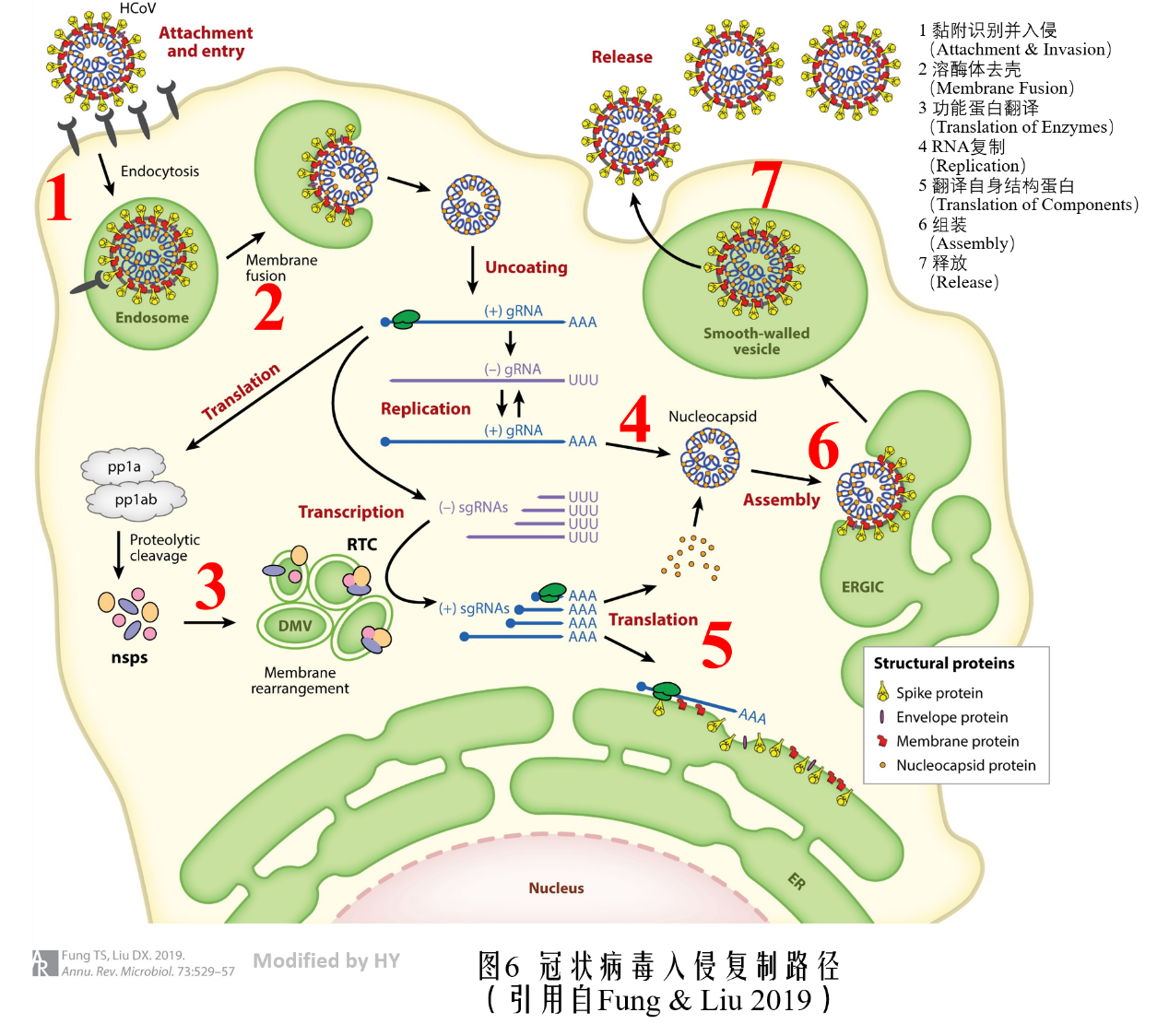 艾滋病人可以补硒(病人补艾滋硒可以吃吗)-硒宝网